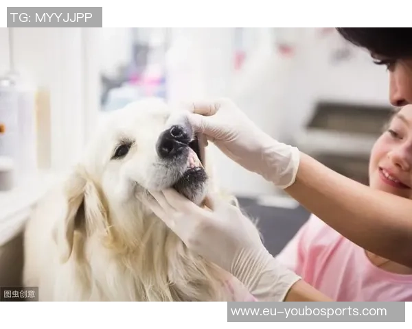 深入了解足球筋膜炎的成因症状及有效预防与治疗方法