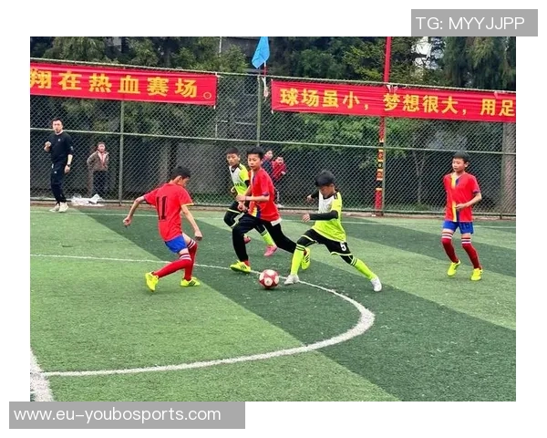 秀山足球2017：激情与梦想交织的绿茵场上演绎青春的无限可能